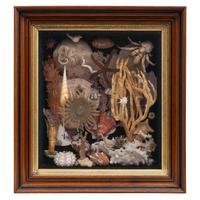 A Victorian Seashell and Taxidermy Crustacean Diorama