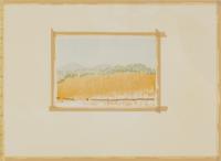 Untitled from Aquatint, Sugarlift and Golden Changes