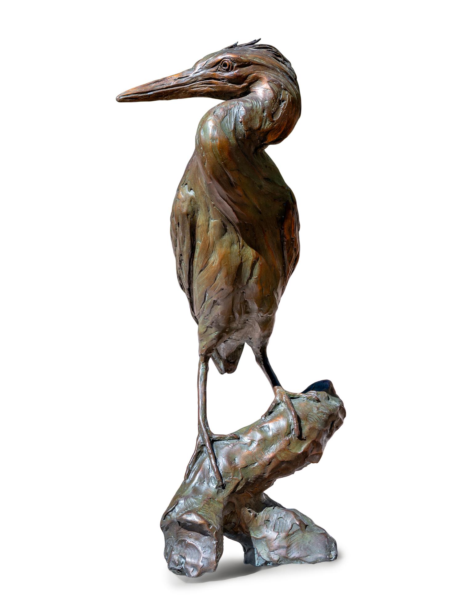 Green Heron , edition 4/30