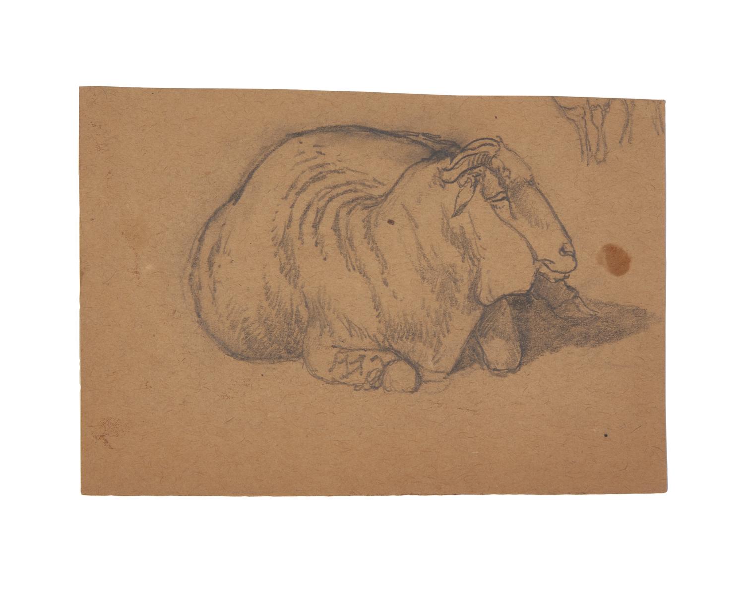 Farm Animal Studies: F older of Eighteen (18) Pencil Drawings