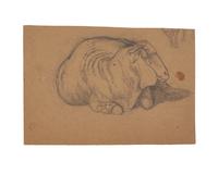 Farm Animal Studies: F older of Eighteen (18) Pencil Drawings