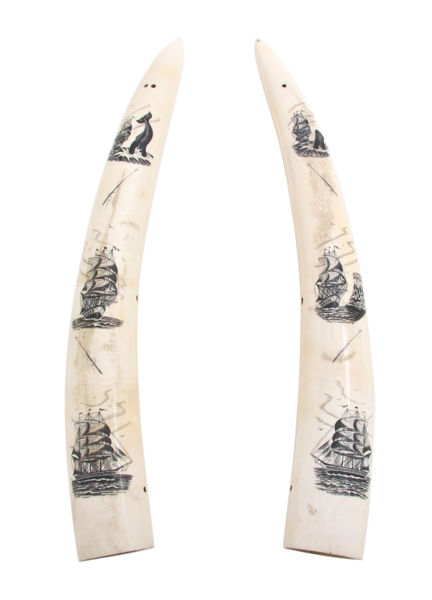 A Pair of Contemporary Scrimshaw Walrus Tusks, Length of first 16 3/4 inches.