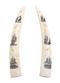 A Pair of Contemporary Scrimshaw Walrus Tusks, Length of first 16 3/4 inches.