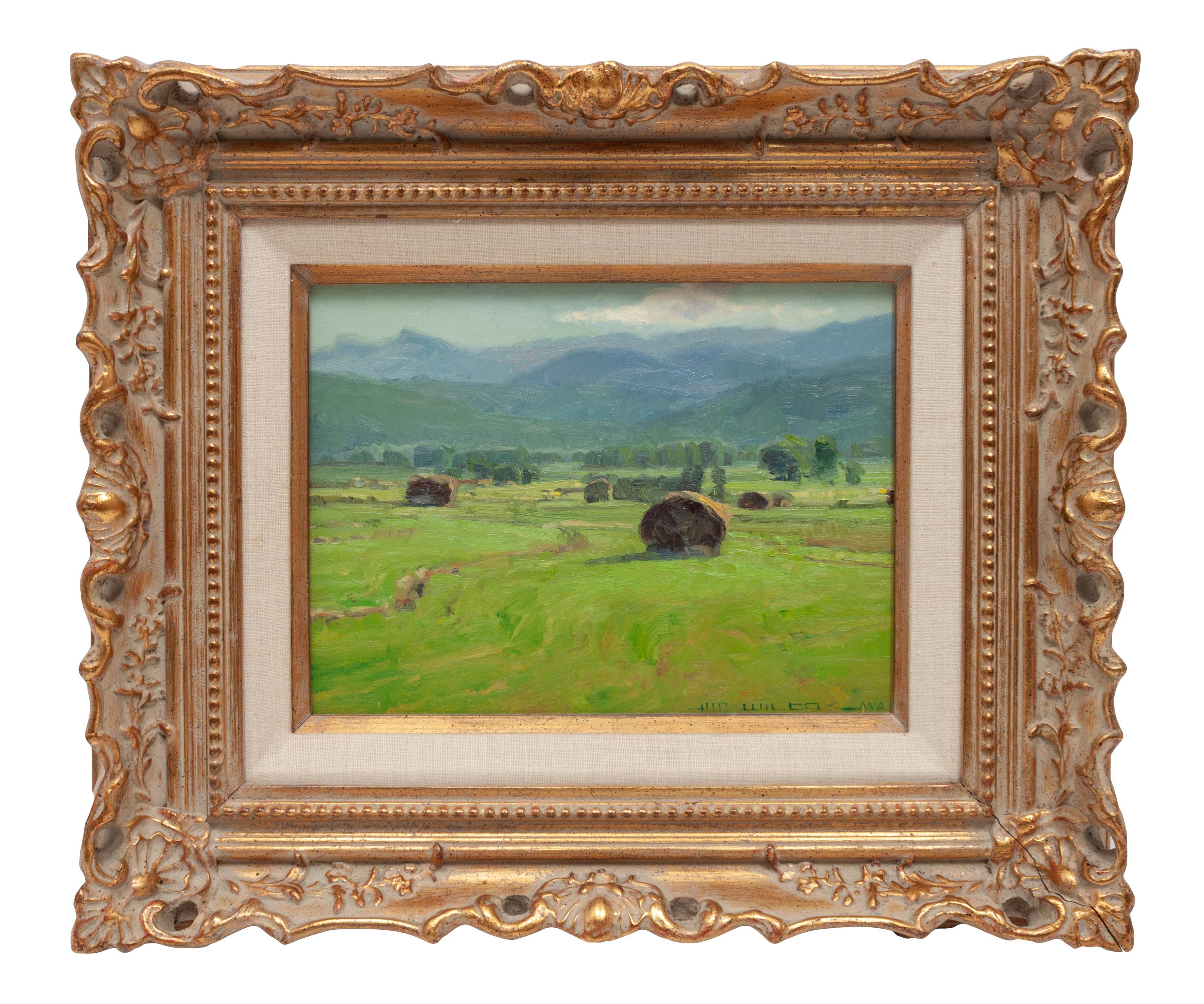South Park Haystacks