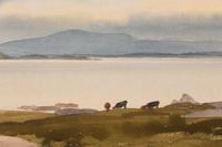 Grazing Cows in Landscape