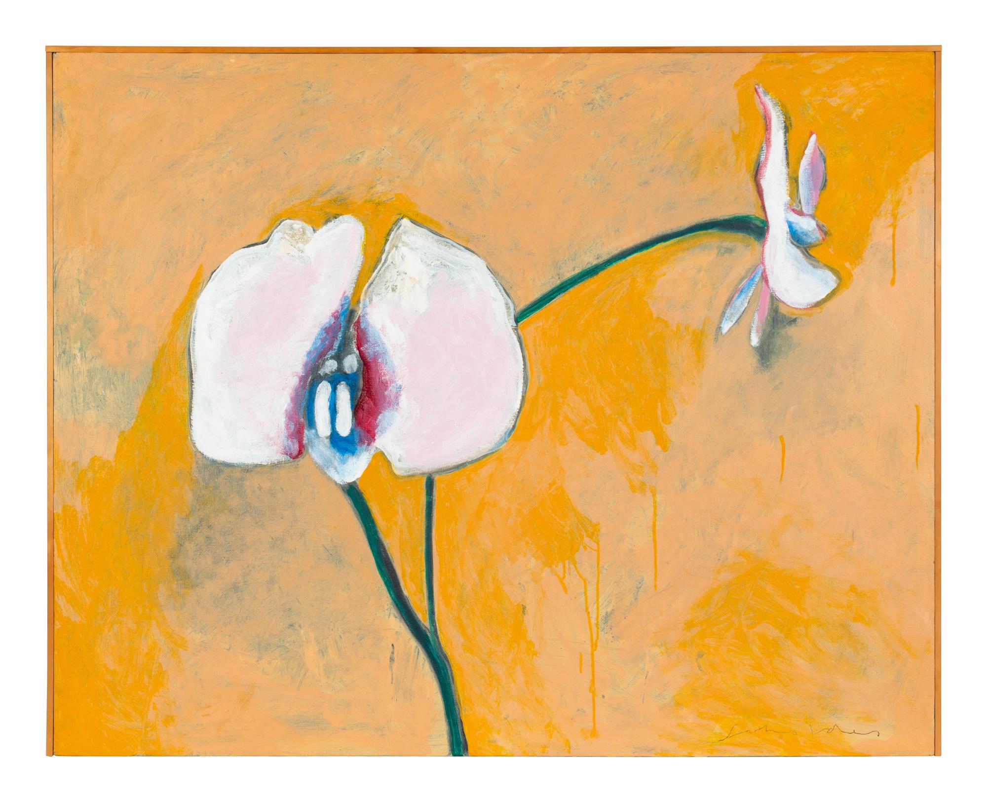 Orchid for Lloyd