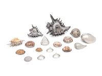 A Group of Silvered, Silver-Mounted and Models of Seashells by Buccellati and Others