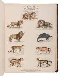 JARDINE, William (1800-1874). Leaves from the Book of Nature, Containing the Principal Illustrations in Jardine's Naturalist's Library . Edinburgh: W.H. Lizars; London: S. Highly; Dublin: W. Curry, [1846].