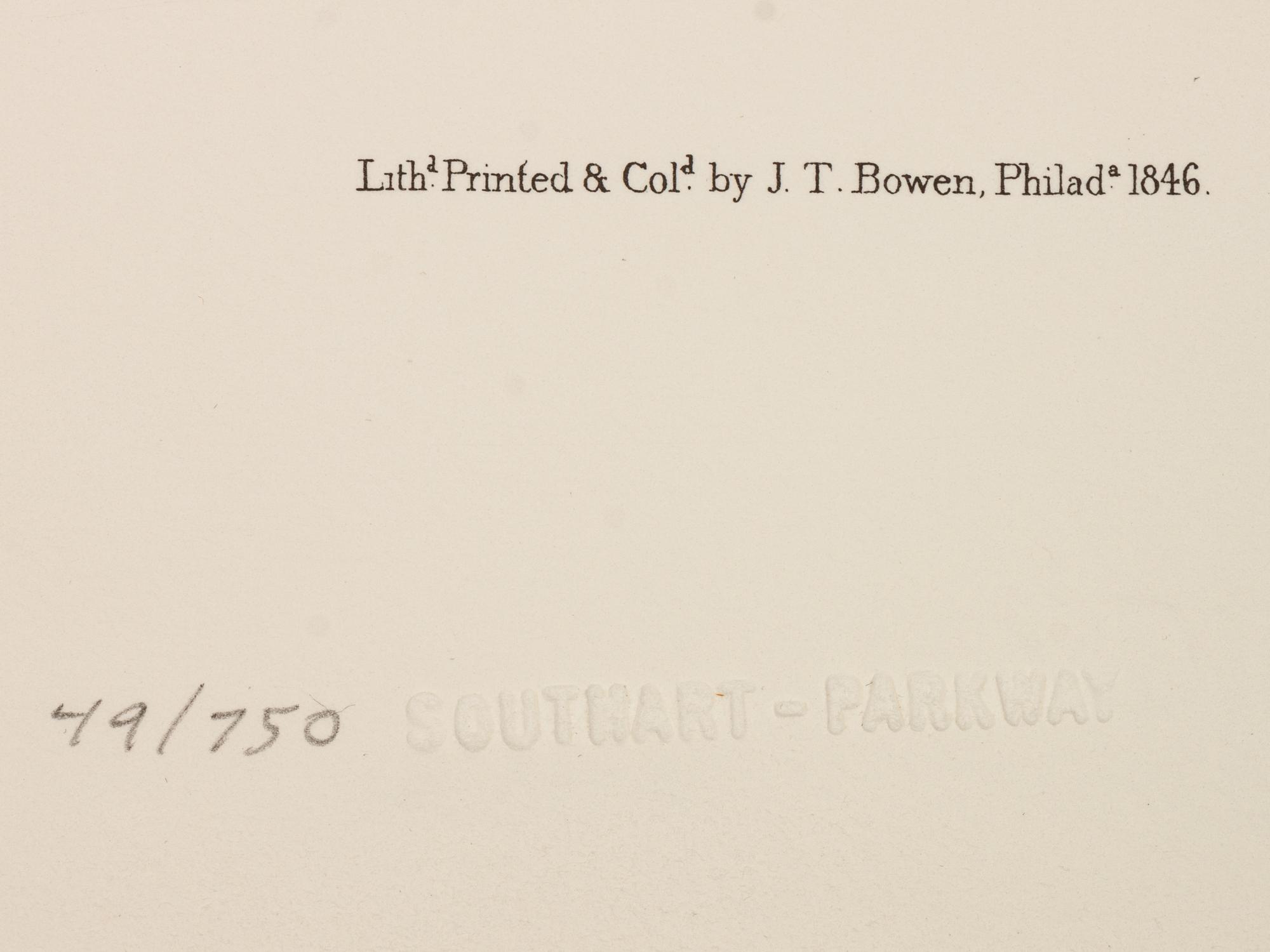 Southart Parkway's Limited Edition Facsimiles from Viviparous Quadrupeds of North America; Set Two: Audubon Mammals of the Southeast