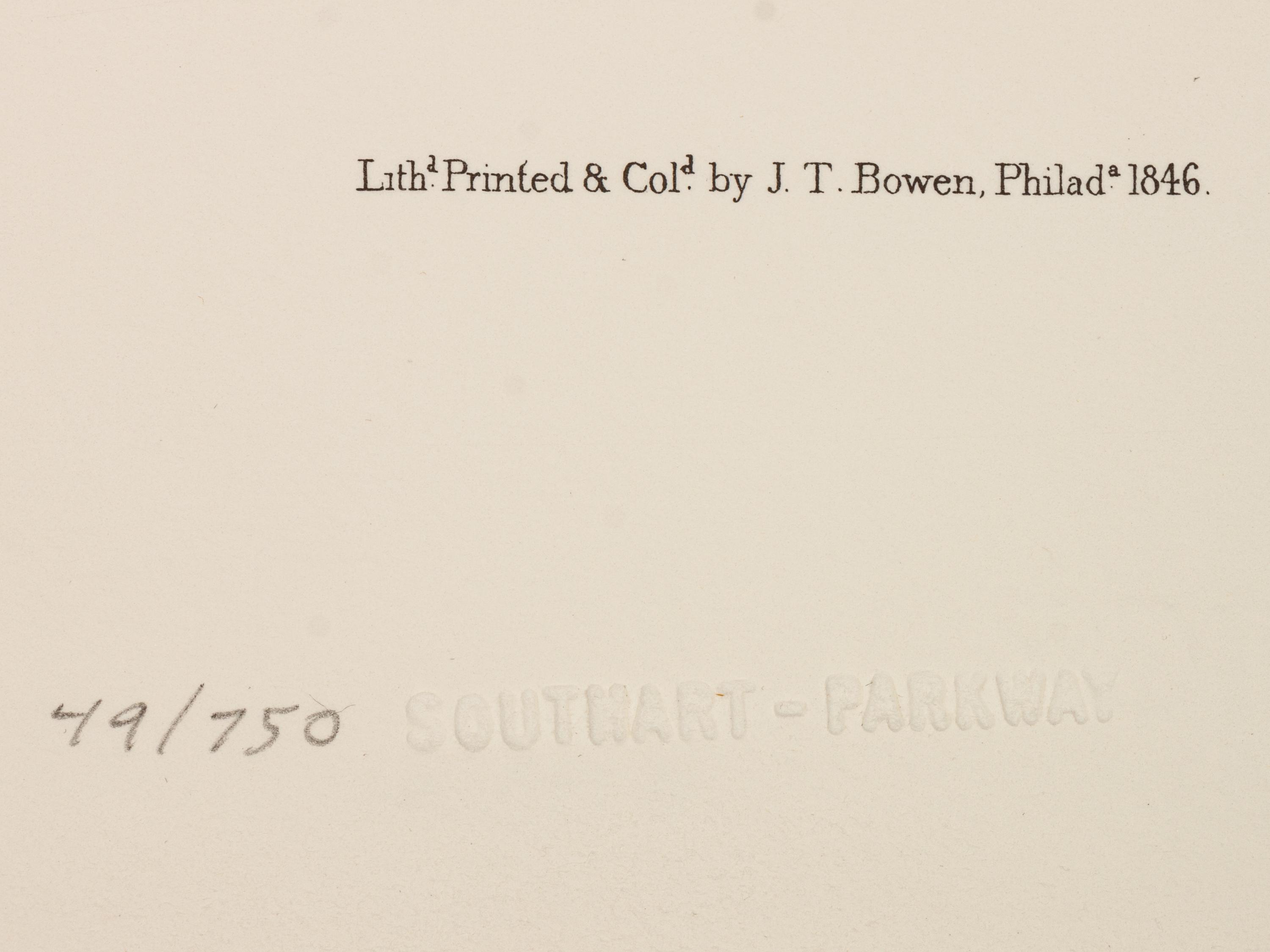 Southart Parkway's Limited Edition Facsimiles from Viviparous Quadrupeds of North America; Set Two: Audubon Mammals of the Southeast