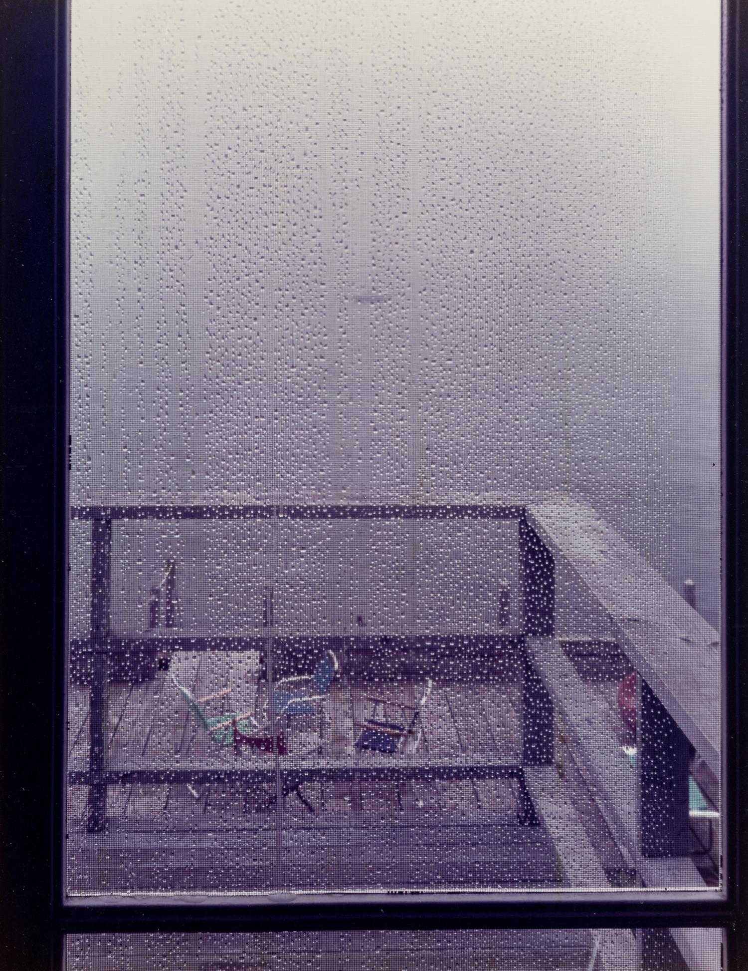 Joel Meyerowitz (born 1938) The Screen Door, 1982