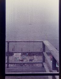 Joel Meyerowitz (born 1938) The Screen Door, 1982
