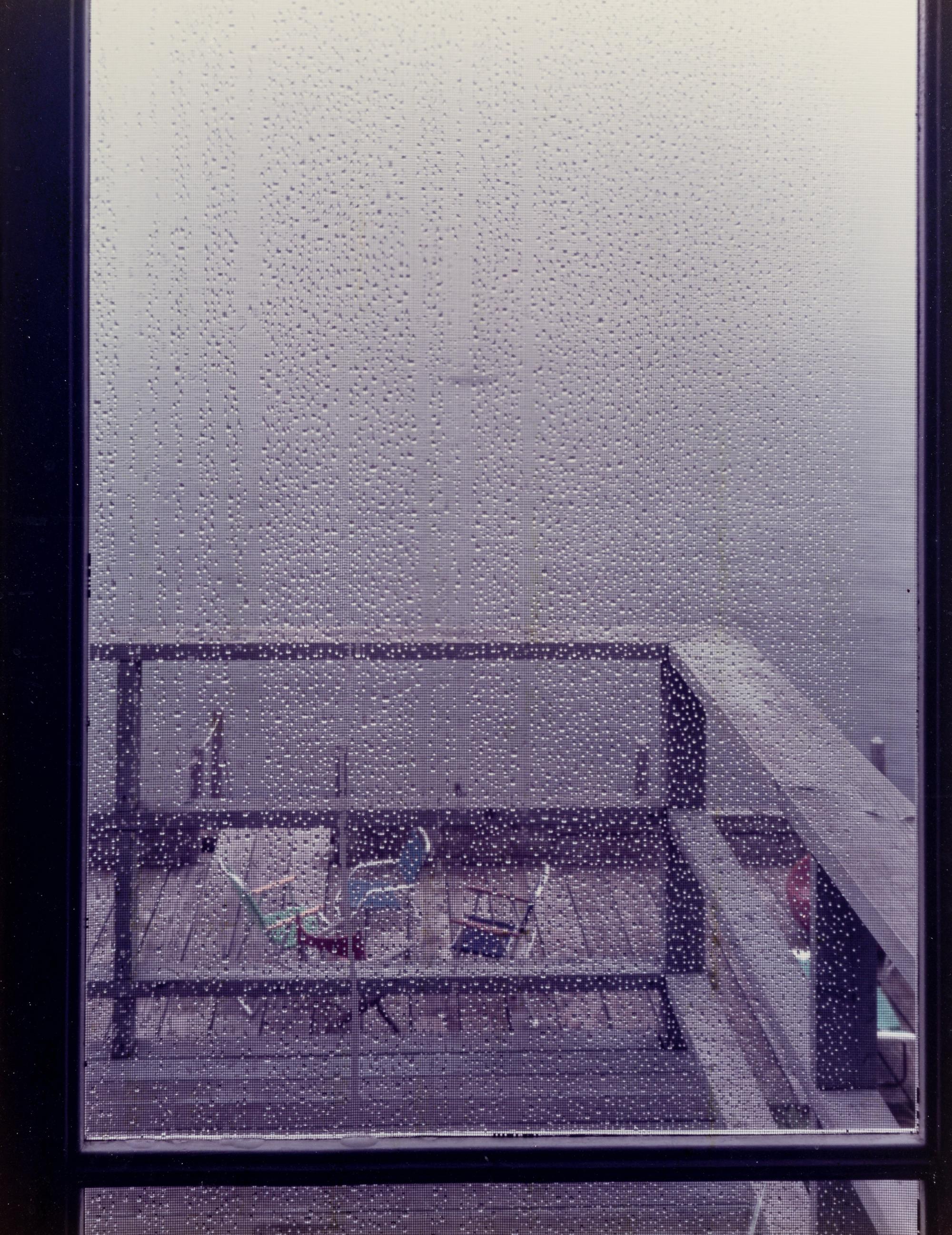 Joel Meyerowitz (born 1938) The Screen Door, 1982