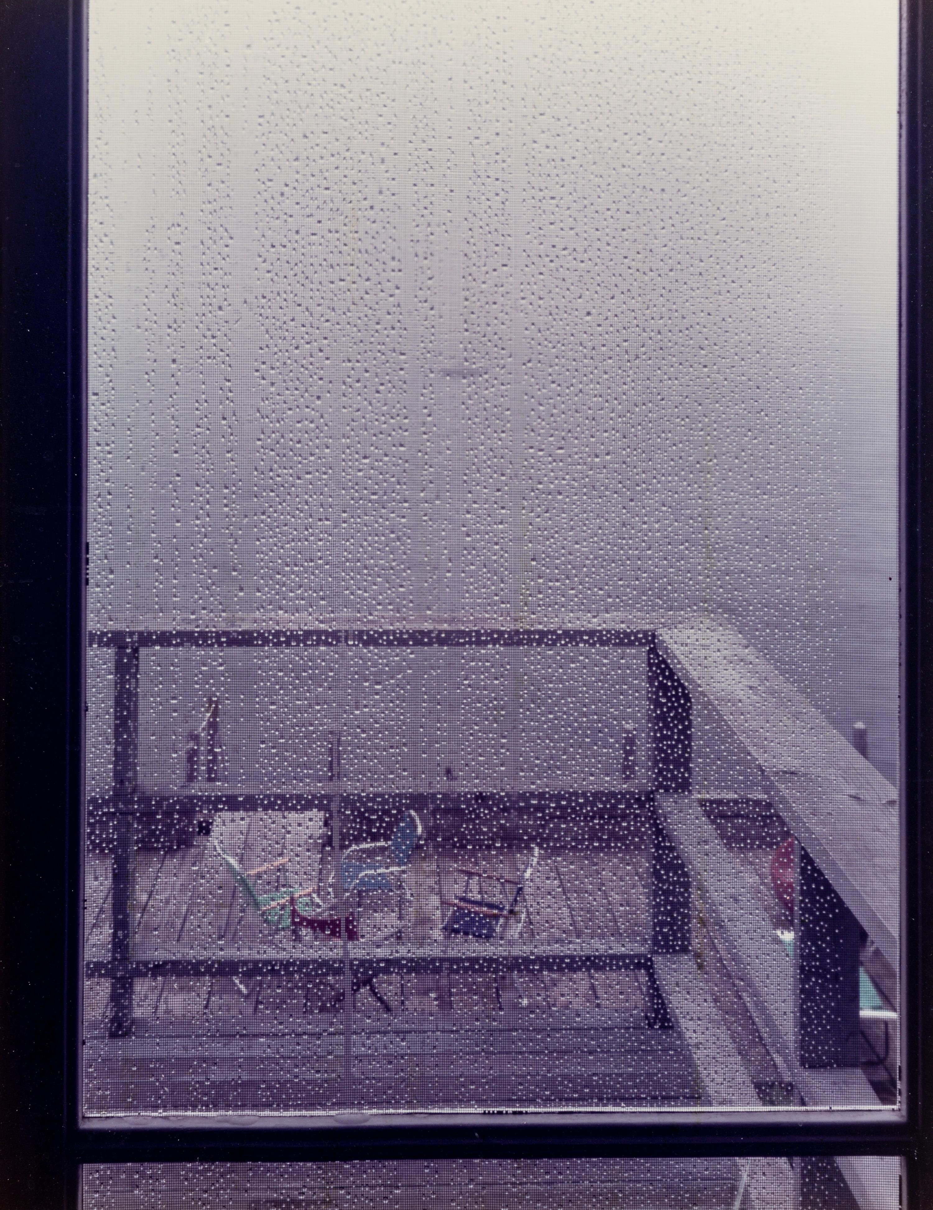 Joel Meyerowitz (born 1938) The Screen Door, 1982