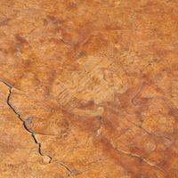 A Large and Unusual Chinese Huamu Parquetry Circular Table — 冰裂紋拼木云蝠紋圓桌