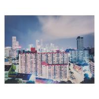 Peter Bialobrzeski (German, b. 1961) — Singapore , #37 (from Neon Tigers ) , 2002