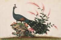 A Set of Twelve Chinese Export Watercolor and Pith Paintings
