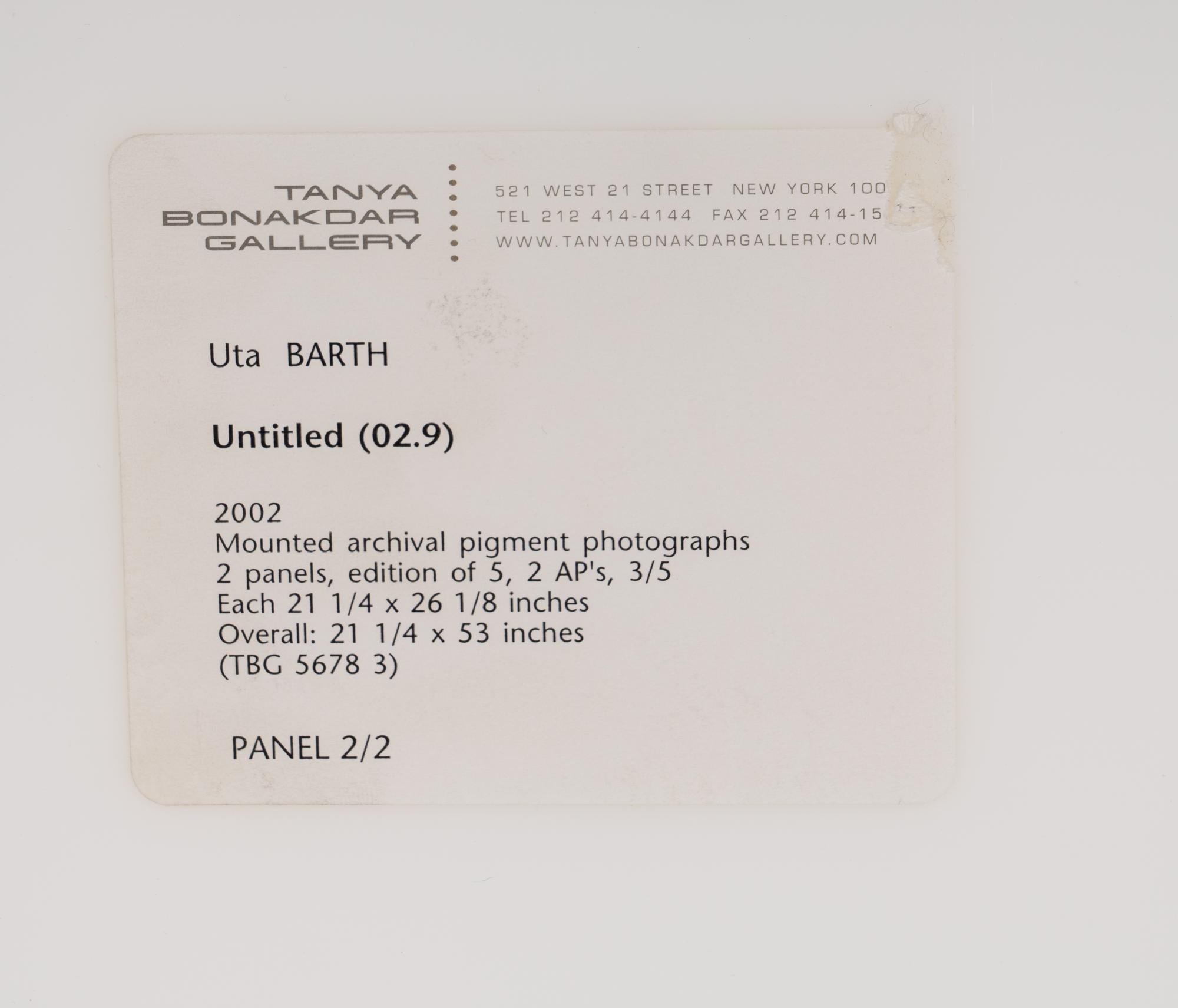 Untitled (02.9) , 2002 (diptych)
