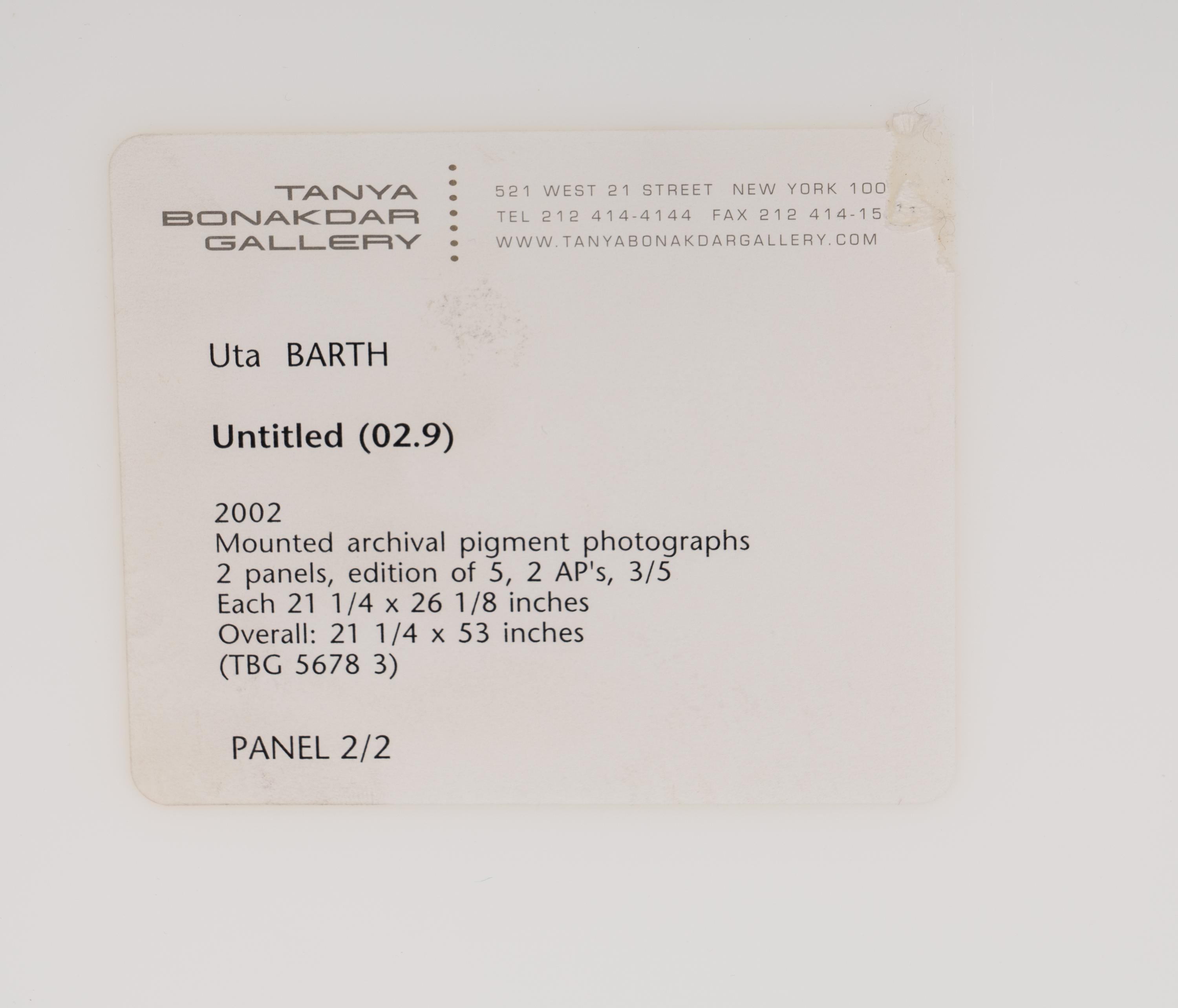 Untitled (02.9) , 2002 (diptych)