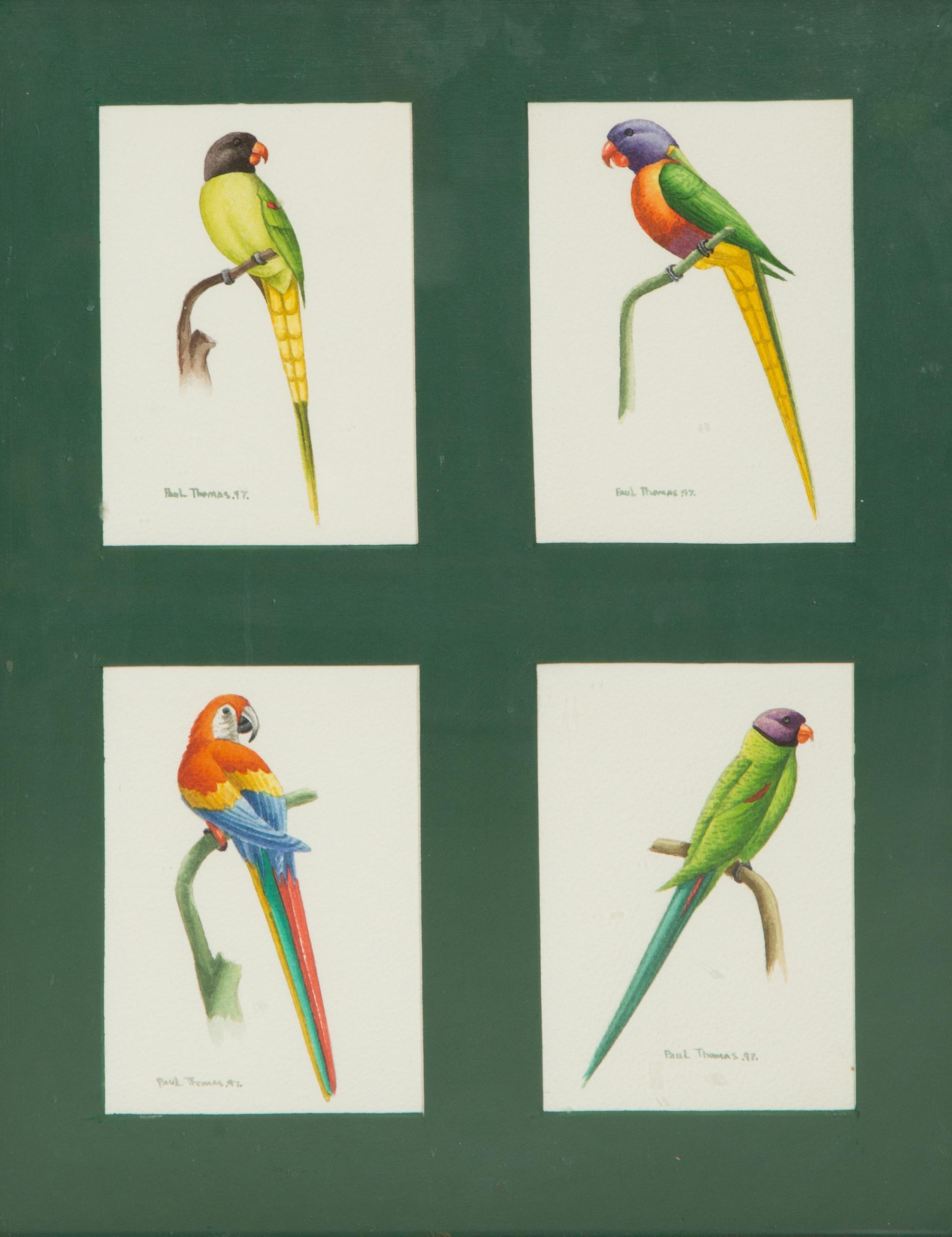Birds: Illustration for a Book