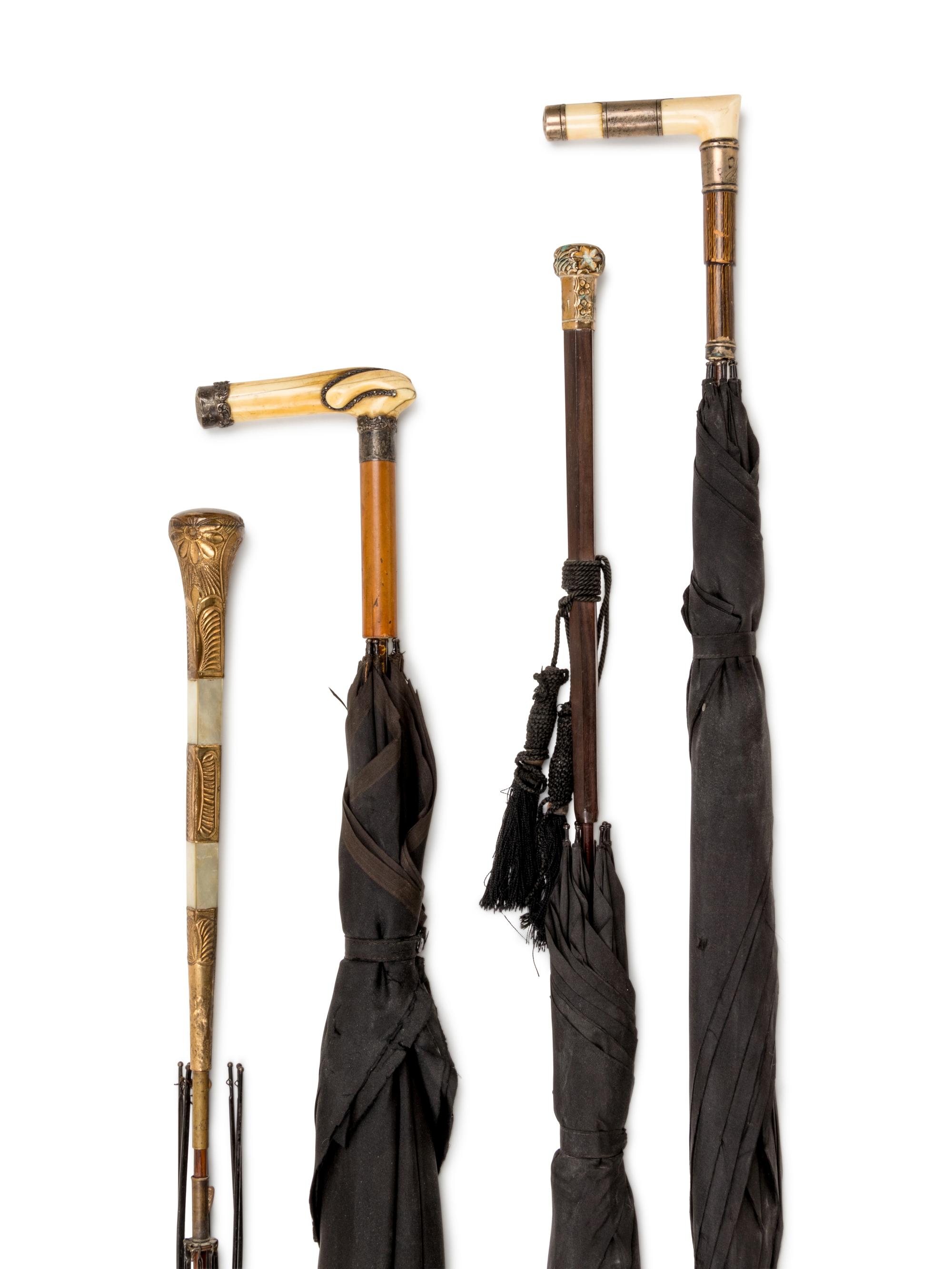 A Collection of Canes