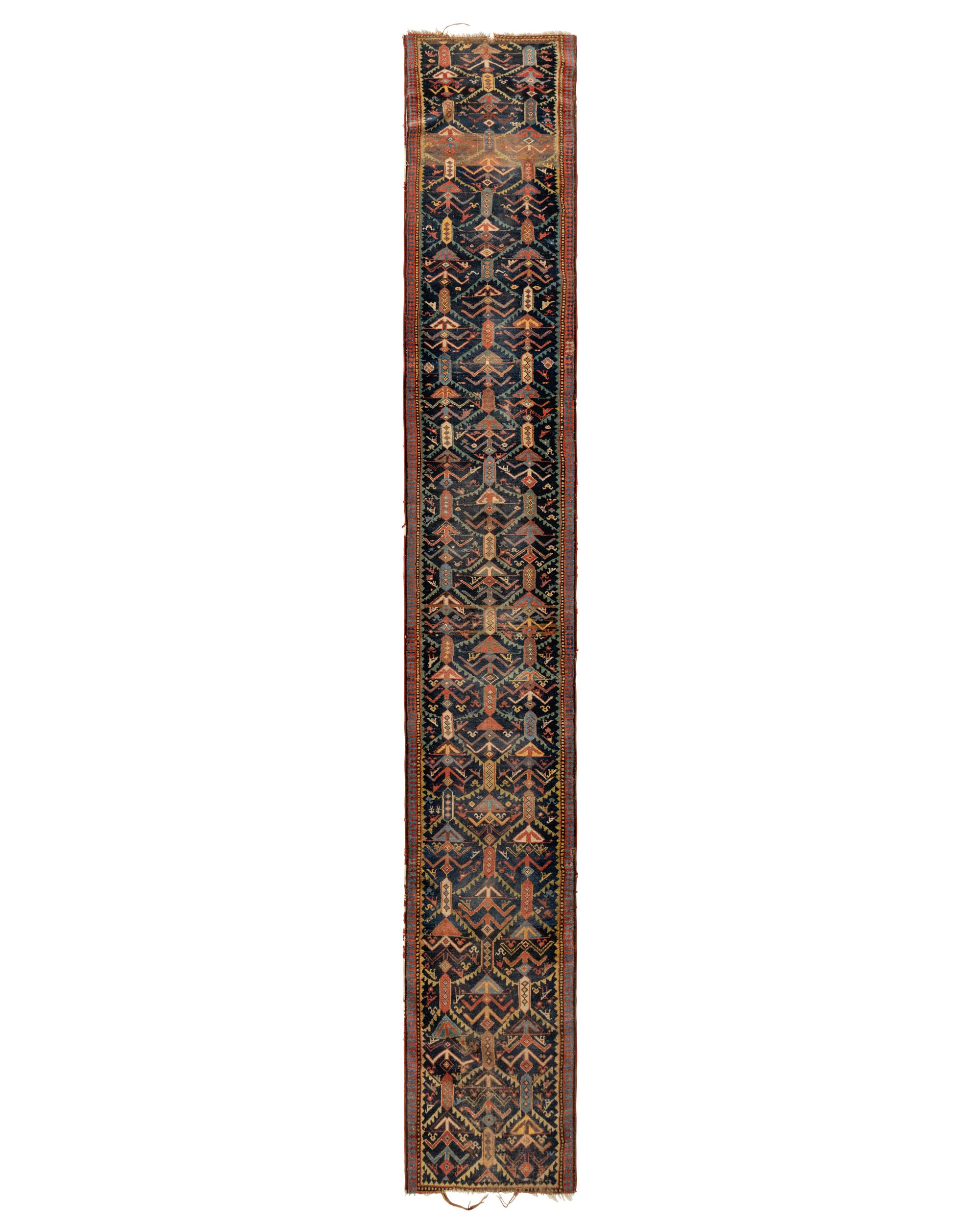 A Northwest Persian Runner