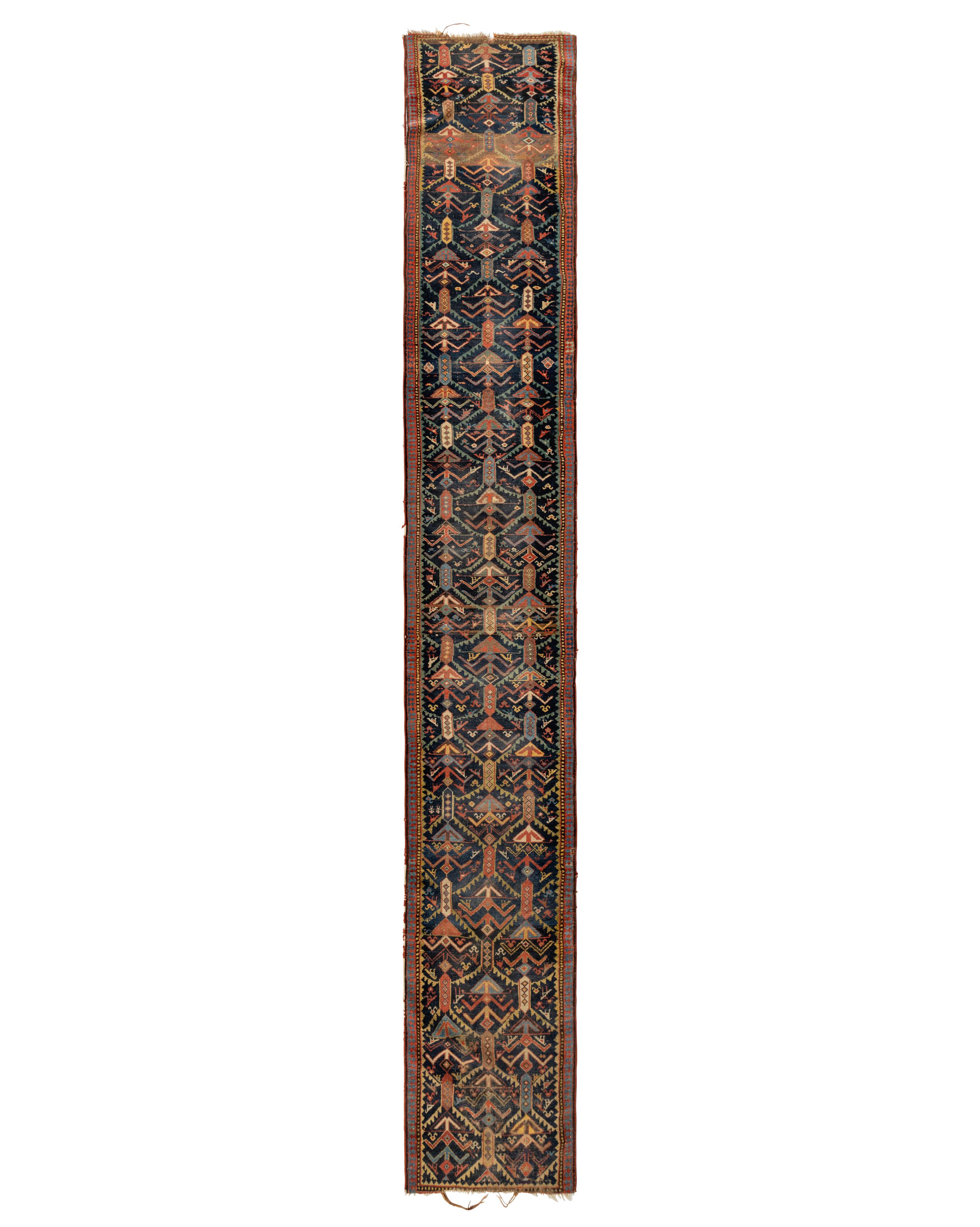 A Northwest Persian Runner