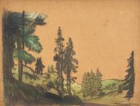 Forest Scene