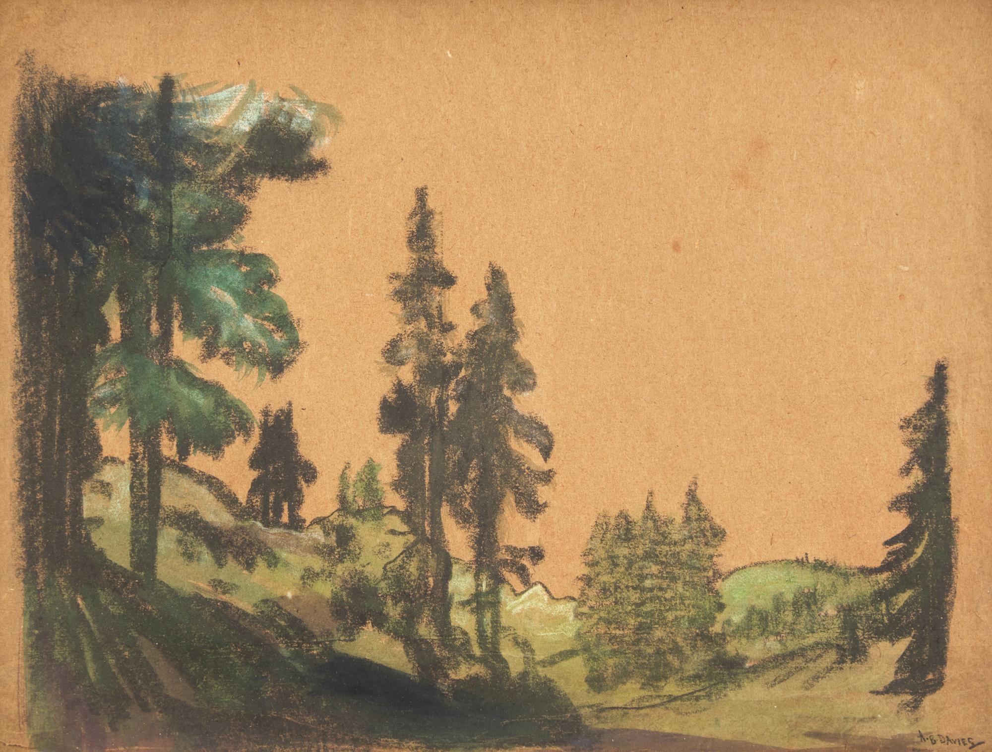 Forest Scene