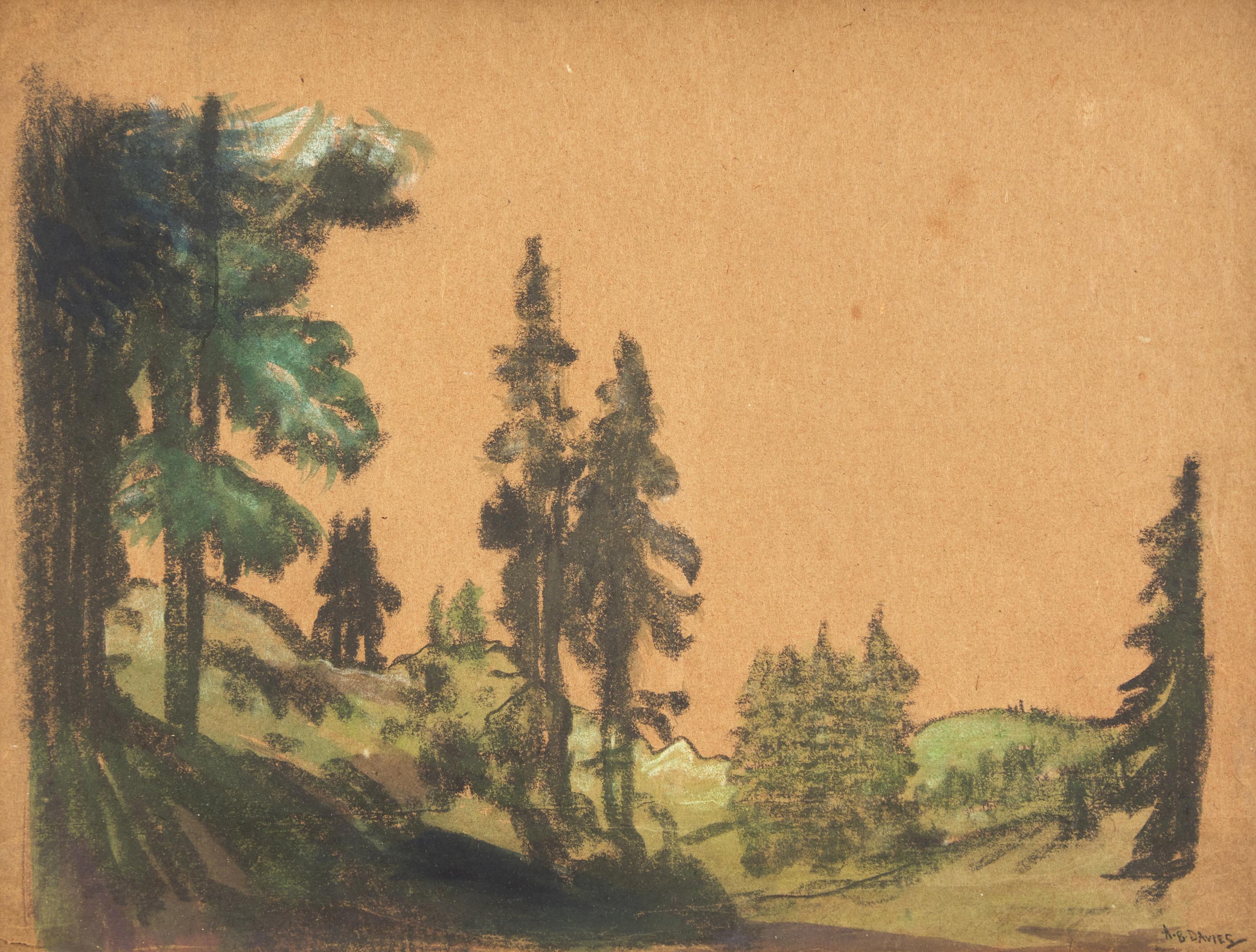 Forest Scene