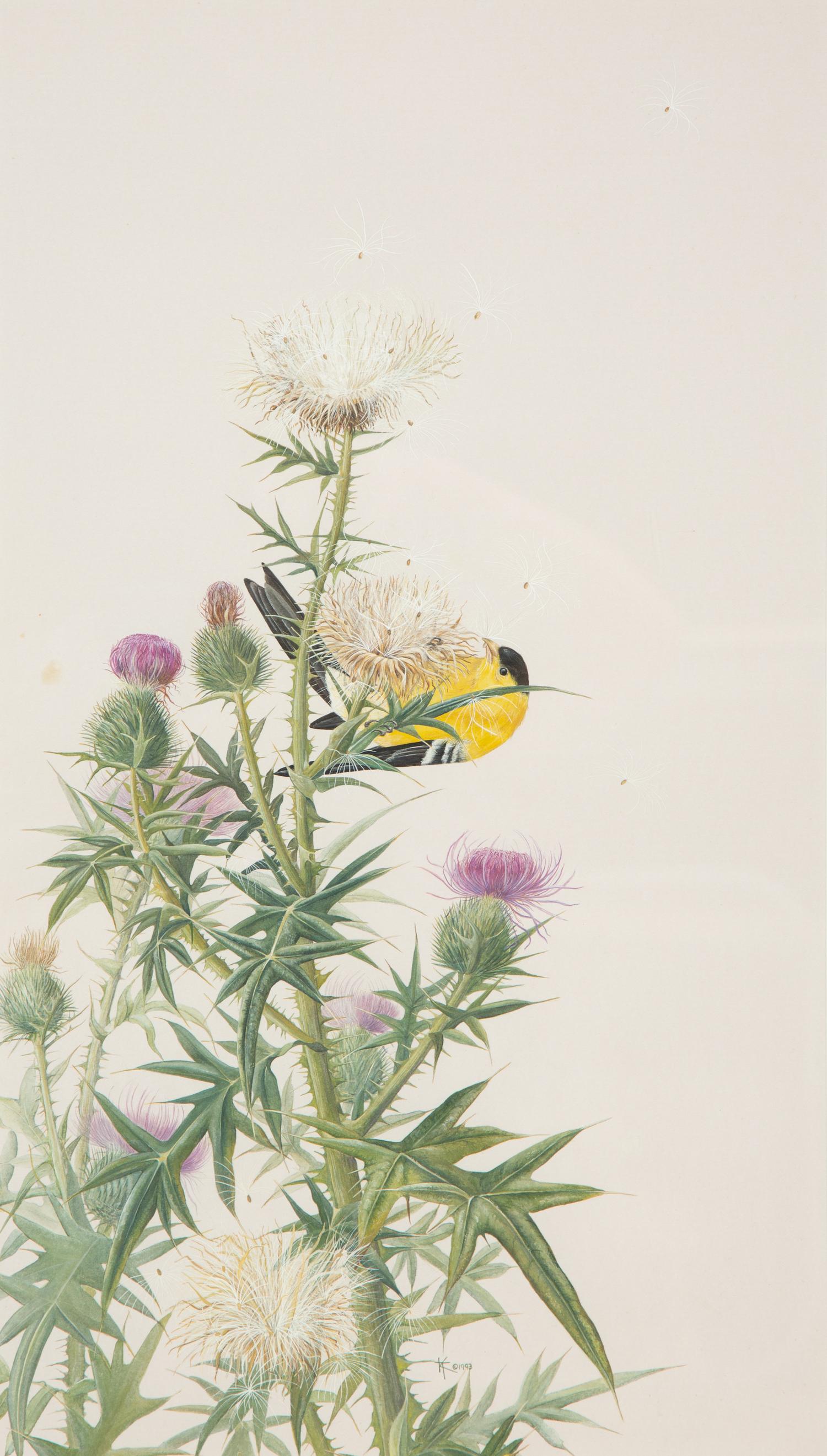 Thistle and Sunshine, 1993