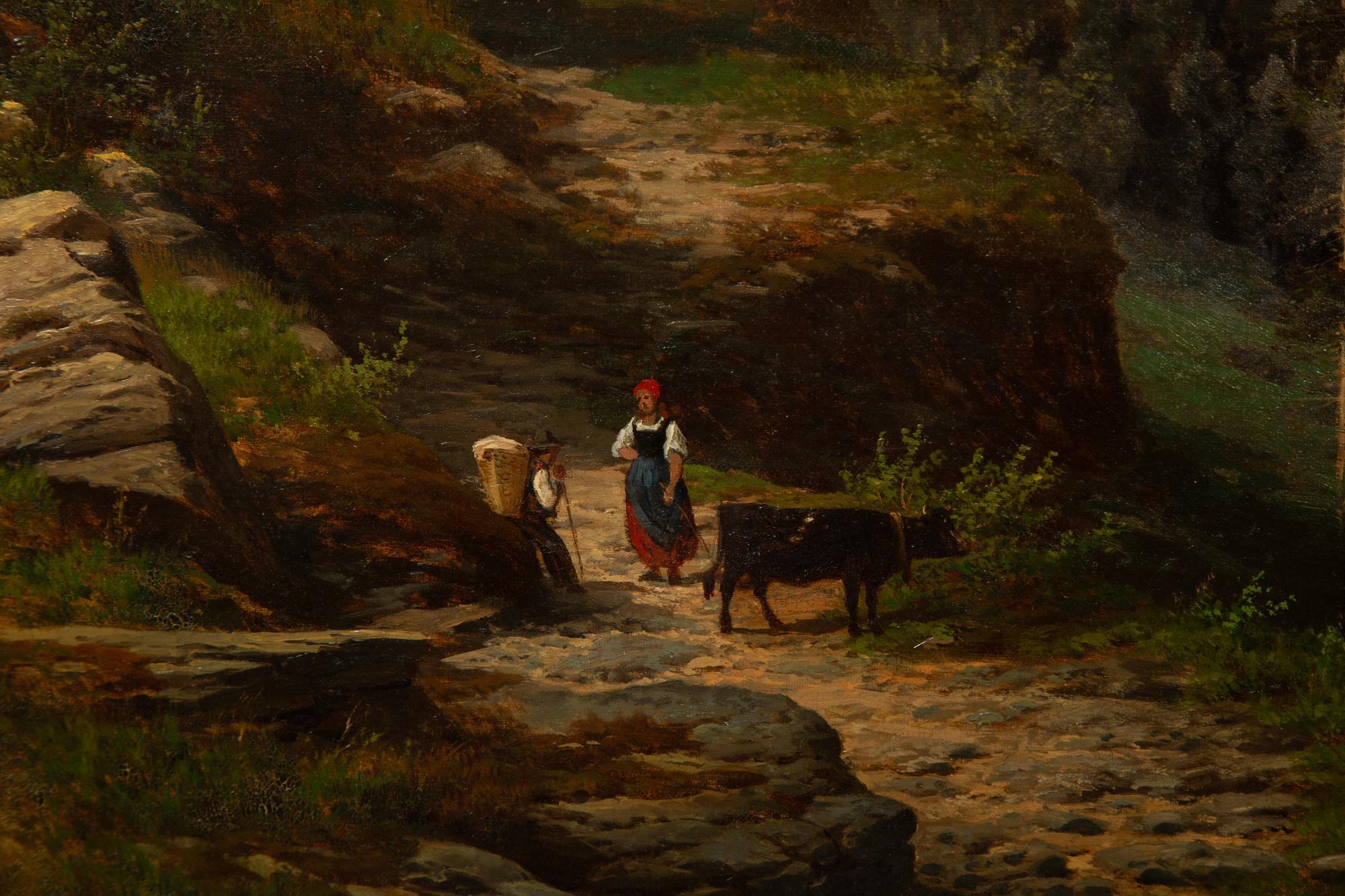 Path Along an Alpine Lake