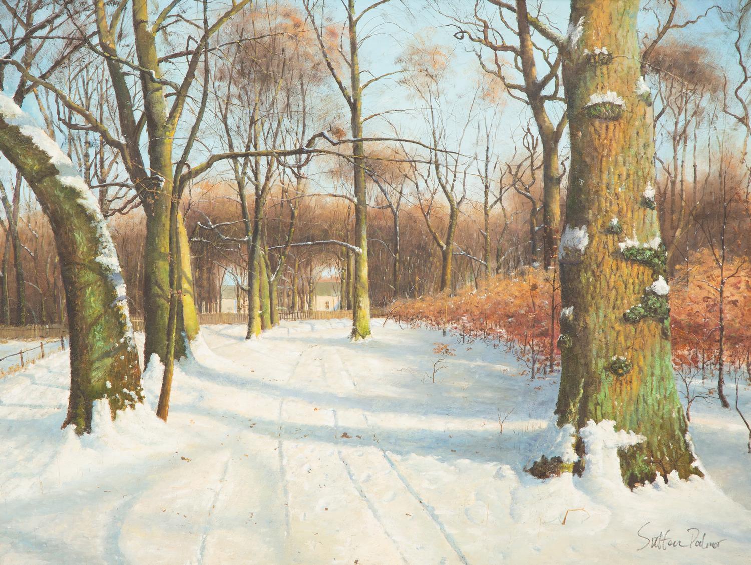 Snowy Road