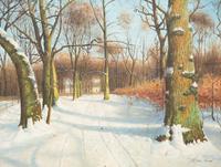 Snowy Road
