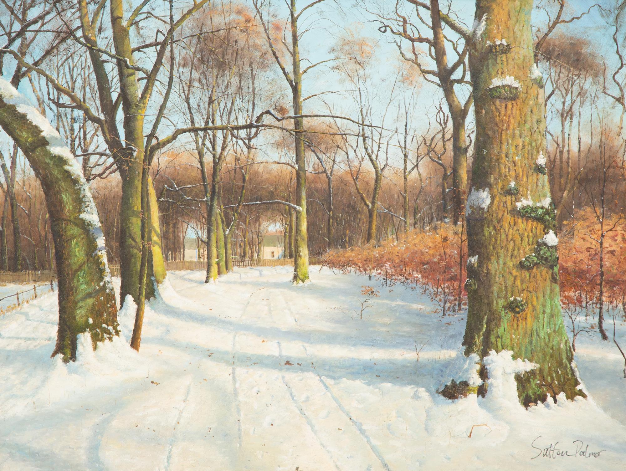 Snowy Road