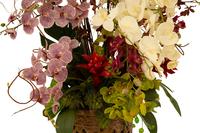 A Faux Orchid Floral Arrangement in a Ceramic Pot — 20th Century