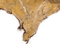 Early Southern Plains Painted Buffalo Hide Robe, Likely Comanche