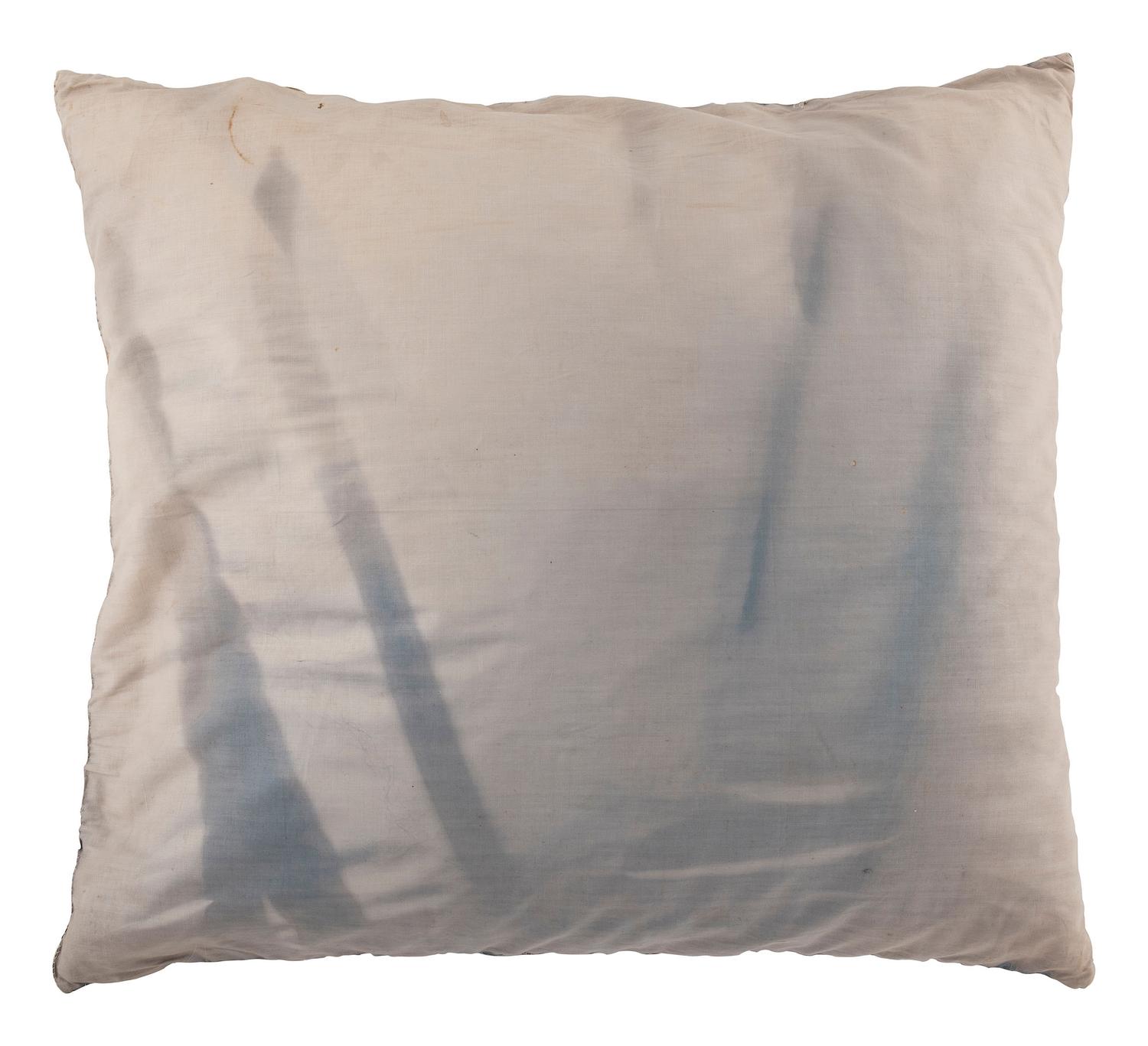 [EARLY PHOTOGRAPHY - AMERICANA]. Silk pillow comprised of 20 cyanotype images.