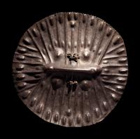 An Amarro Hide Shield