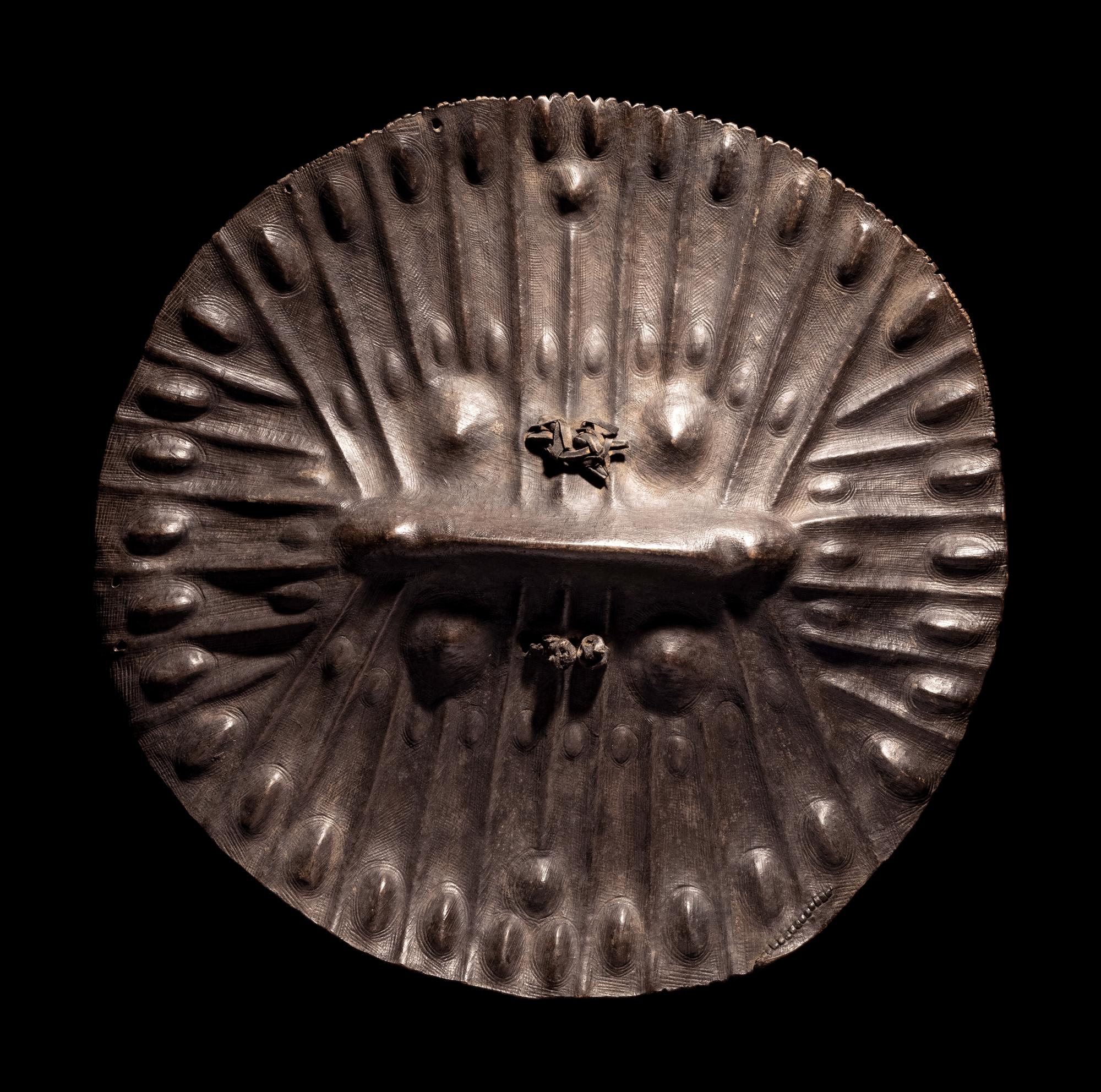 An Amarro Hide Shield
