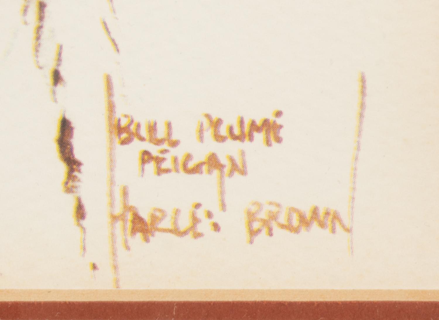 Bill Pelican