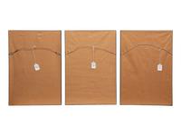 A Set of Five Modern Facsimiles of Engravings Depicting Birds of Prey