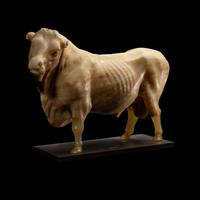 A Roman Alabaster Bull
