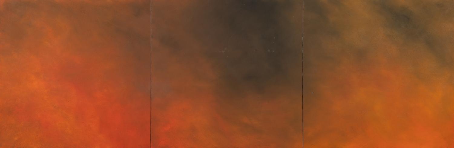 Forest Fire