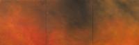 Forest Fire