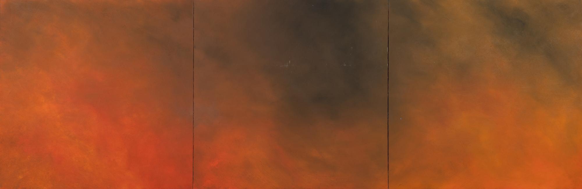 Forest Fire