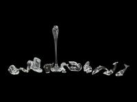 A Group of Eleven Glass Animal Figures