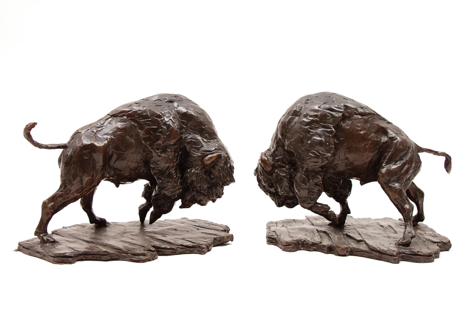 Pair, American Bison , edition 1/9