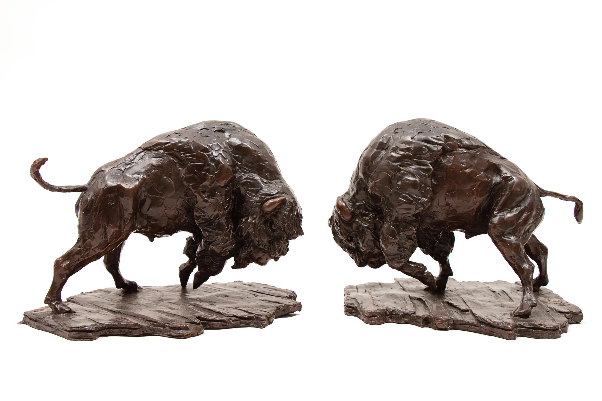 Pair, American Bison , edition 1/9
