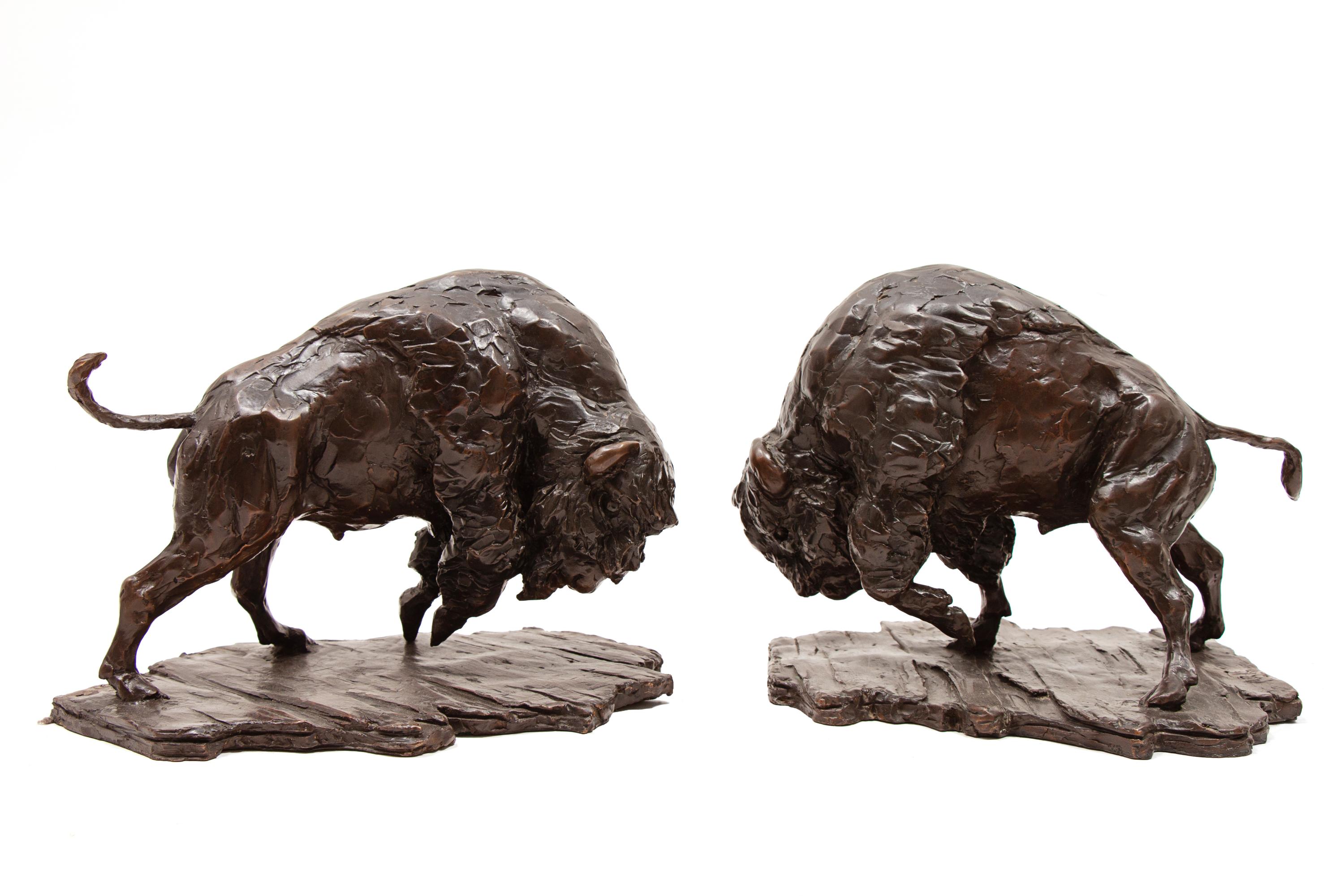 Pair, American Bison , edition 1/9